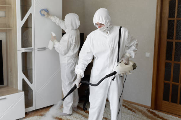 Best Certified Mold Removal  in Amherst, WI