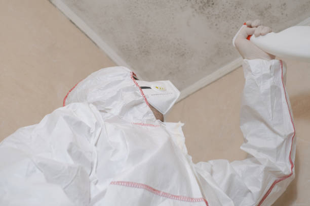 Best Office Mold Removal Services  in Amherst, WI